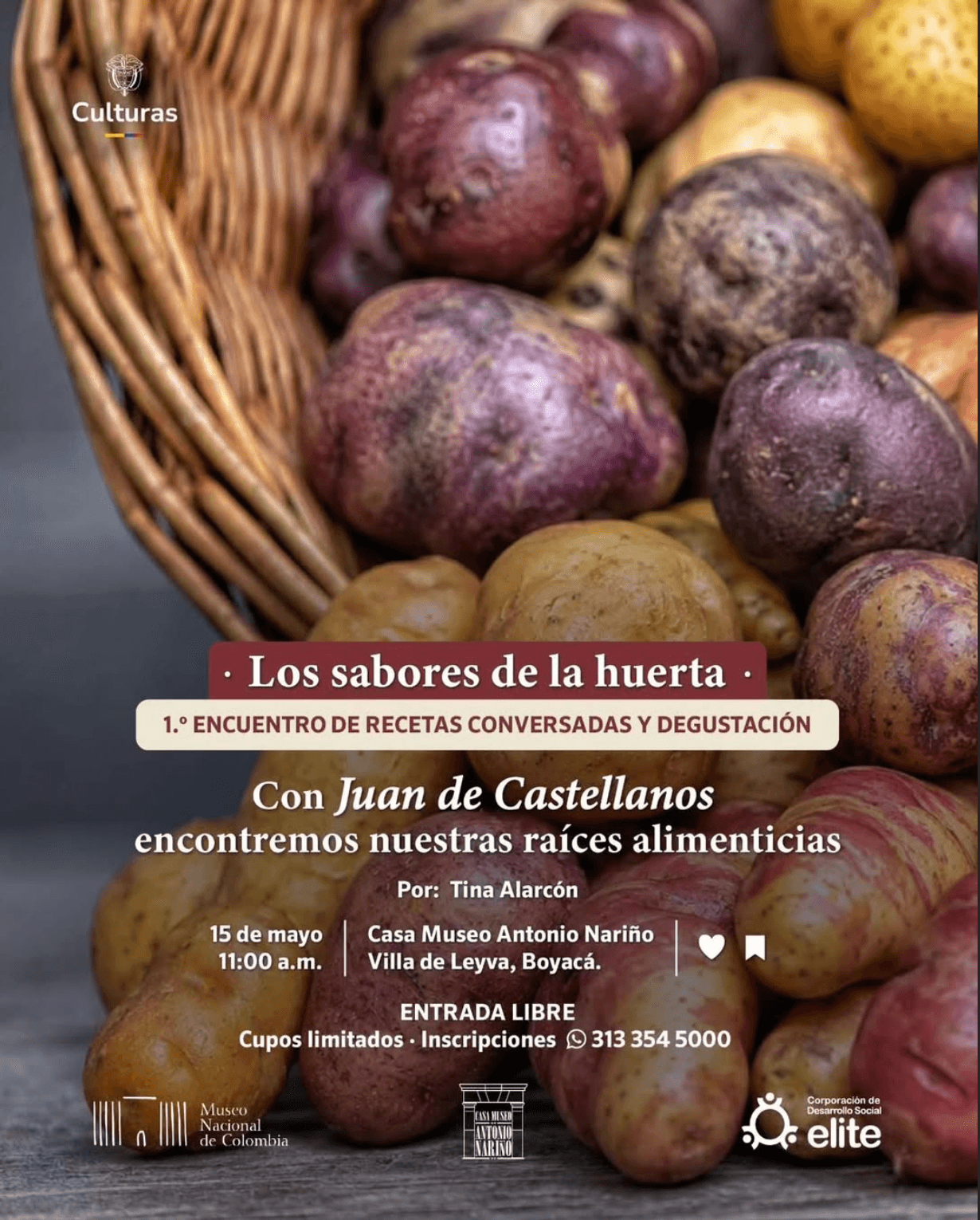 Los sabores de la huerta